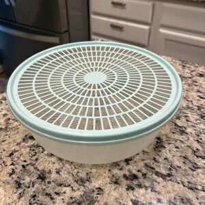 Tupperware Pastel Green and White colander